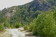 Locality on Mt.Ochi, Evia, GR, where we also found <em>Euboeana castaneivaga</em>