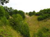 Dry pastures in the Kyffhäuser (Thuringia, Germany), locus typicus of <em>Cicadetta petryi</em> - photo T.Hertach