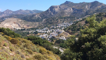 Garigue near the village Filoti, habitat of the new species <em>Mezammira filoti</em> on Naxos island (photo M. Gogala)