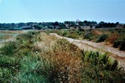 One of the habitats near Tavira, Algarve (Portugal) where <em>T. josei</em> occurs  (photo J.A.QUARTAU)